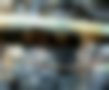 Pictures — 409D