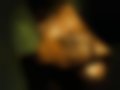 Bilder — Partner Tepee 1.6 HDi