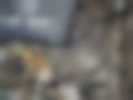 Pictures — Bora 1.6