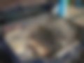 Pictures — 260 SE