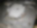 Pictures — IS 220d