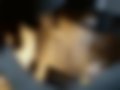 Pictures — Ceed 1.4