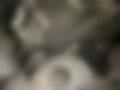 Pictures — S40 2.0
