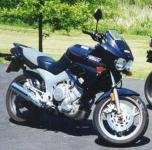 TDM850