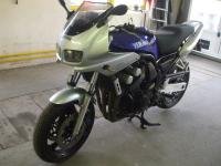 FZS600