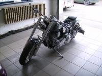Softail Standard