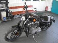 Nightster