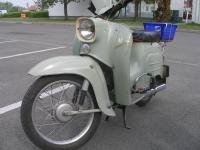 Schwalbe