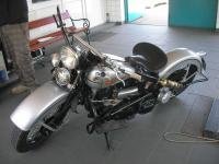 Flathead 1300