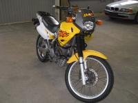 NX 650 Dominator