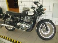 Bonneville T100