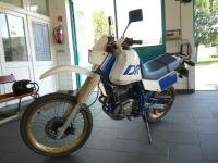 DR600