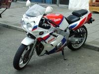 FZR600