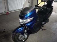 AN250