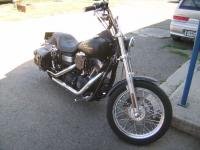 FXDB Dyna Street Bob
