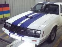 Mustang