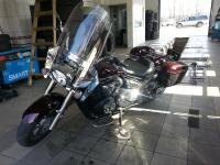 XVS 1300
