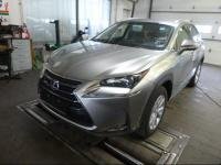 NX 300H