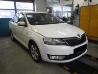 Rapid 1.6 TDi