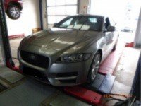 XF 2.0d