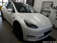 Model Y