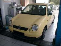 Lupo 1.0