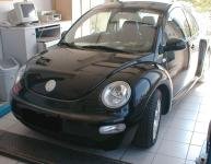 Beetle 1.6
